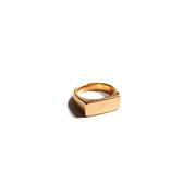 Anillo Titus Gold